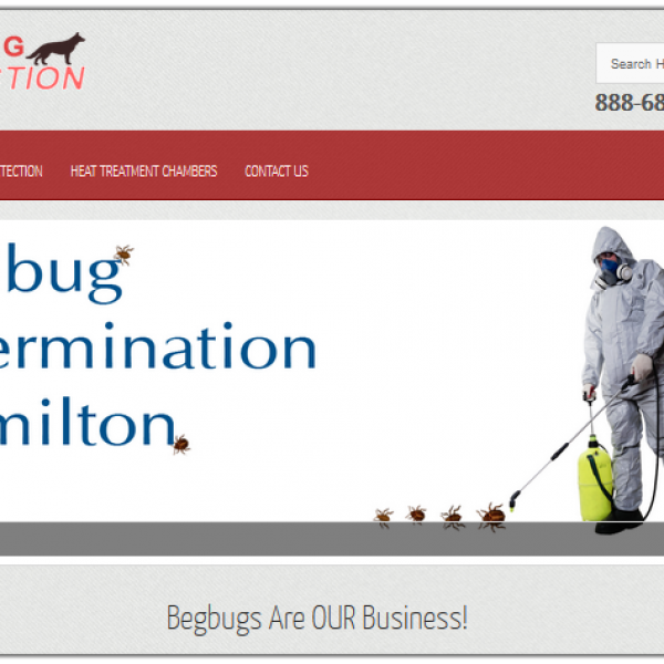 K9 Bedbug Detection